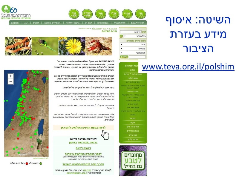 קובץ:Stop IS.pdf