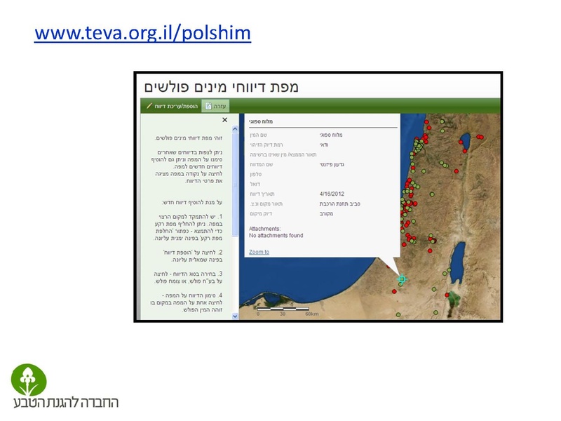קובץ:Stop IS.pdf