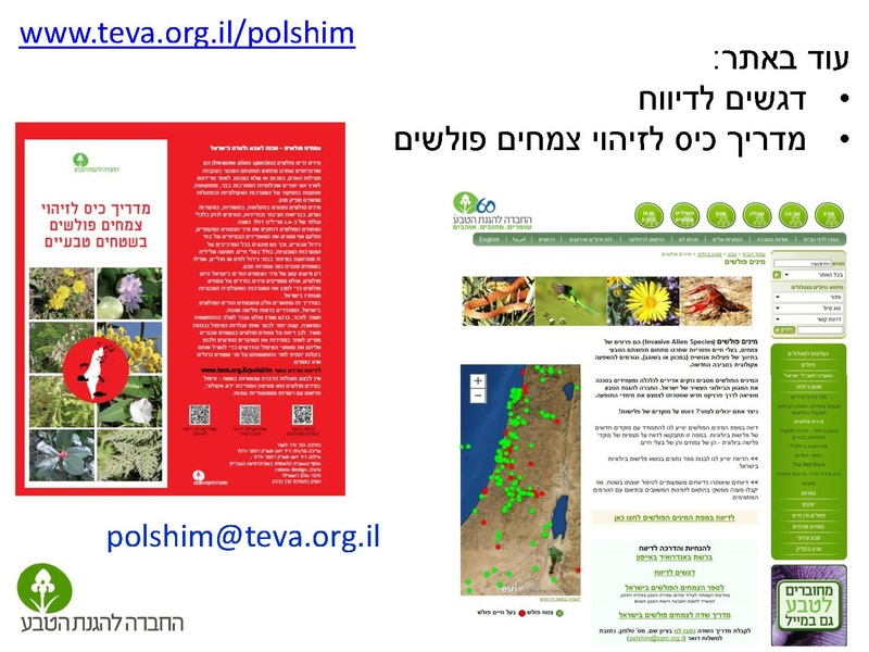 קובץ:Stop IS.pdf