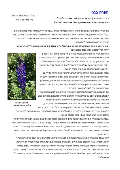 קובץ:Turmus.pdf