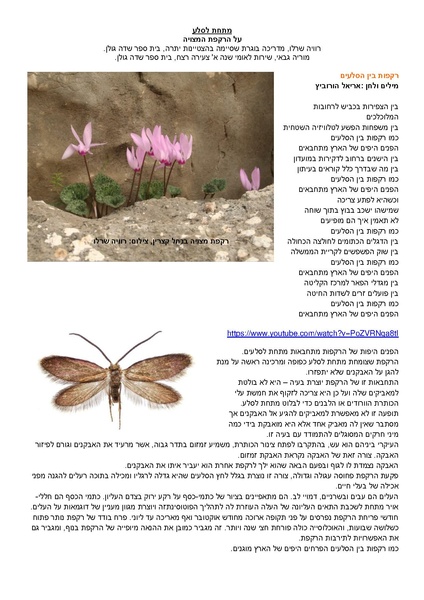 קובץ:Sela.pdf