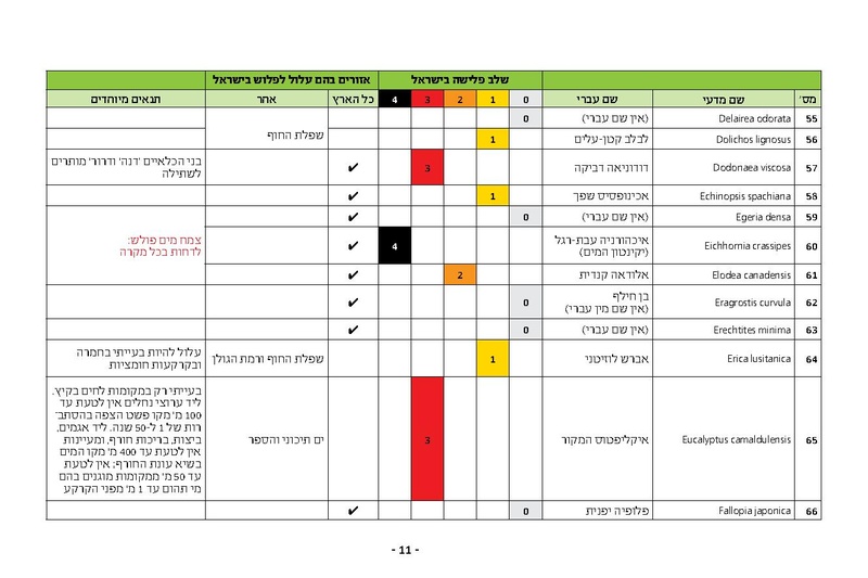 קובץ:Noy.pdf