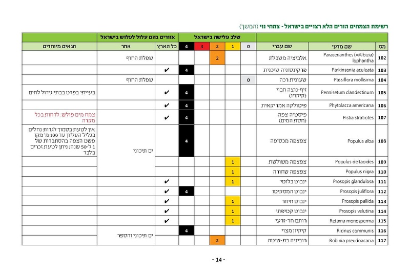 קובץ:Noy.pdf