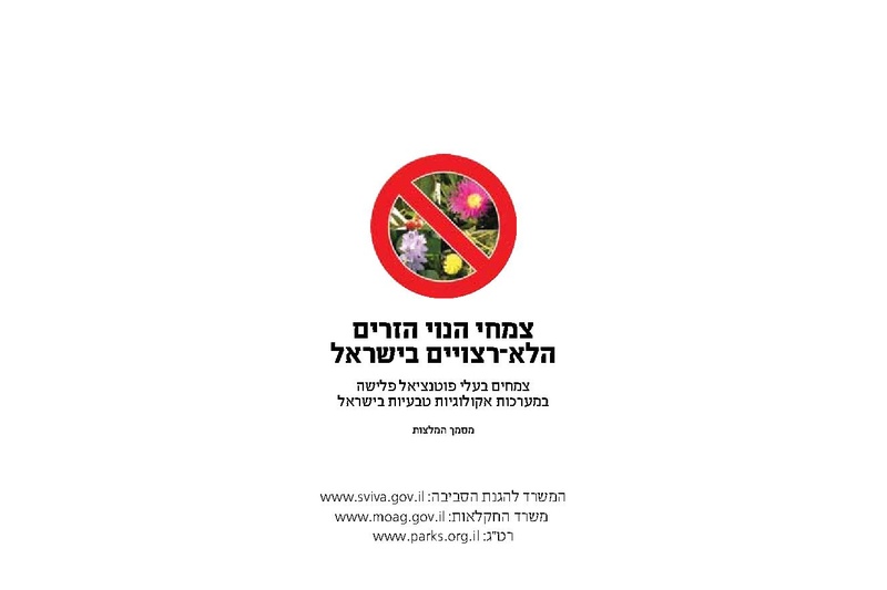 קובץ:Noy.pdf