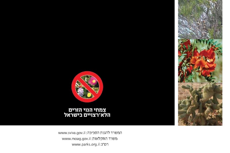 קובץ:Noy.pdf
