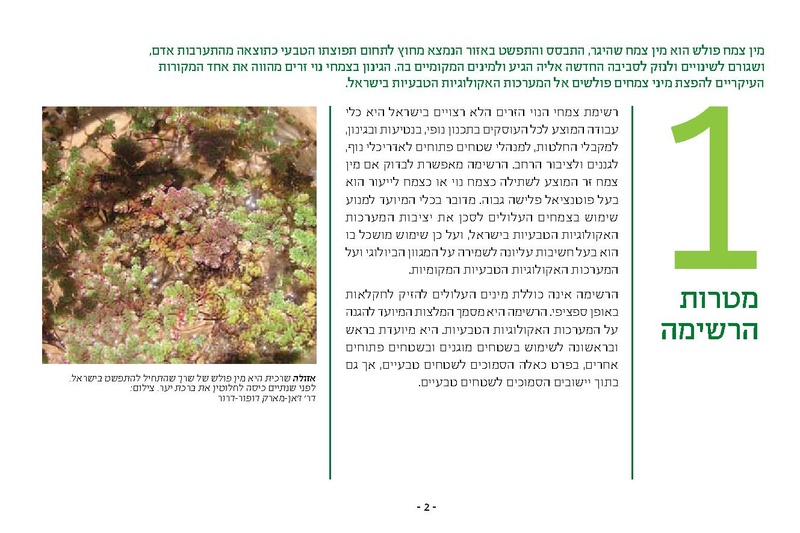 קובץ:Noy.pdf