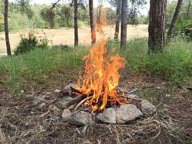 קובץ:מדורה בטבע.jpg