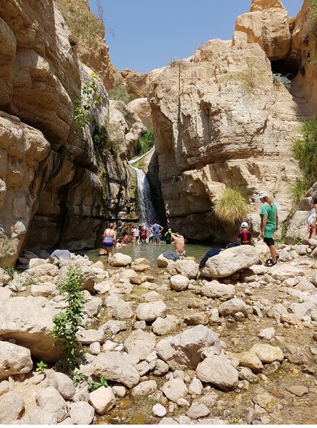 קובץ:20170812 112834(2)(1).jpg