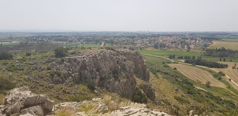 קובץ:Hotem hacarmel osnat.jpg