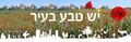 תמונה ממוזערת לגרסה מ־18:36, 21 ביולי 2022