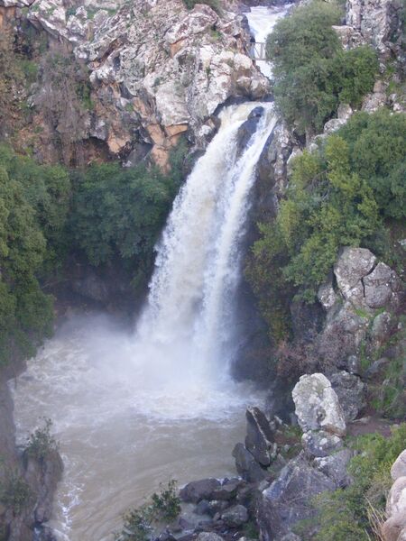 קובץ:Mapal saar eti ben shimon.jpg