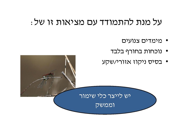 קובץ:DotanRotem.pdf