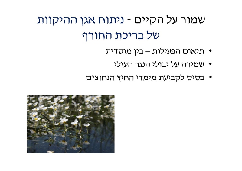 קובץ:DotanRotem.pdf
