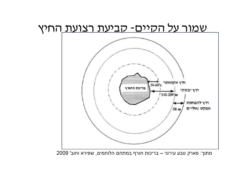 קובץ:DotanRotem.pdf