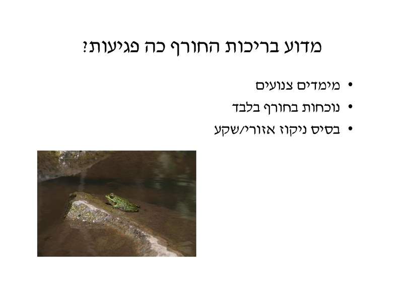 קובץ:DotanRotem.pdf