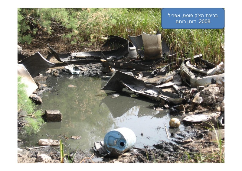 קובץ:DotanRotem.pdf