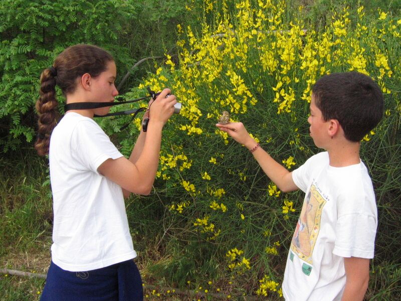 קובץ:Heker ziporim.jpg
