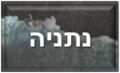 תמונה ממוזערת לגרסה מ־18:43, 13 ביולי 2022