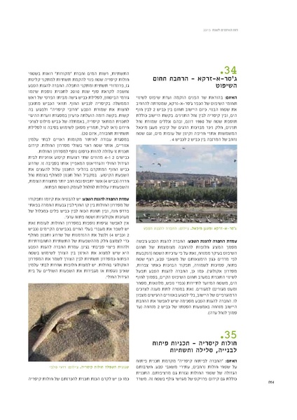 קובץ:Threats13.pdf