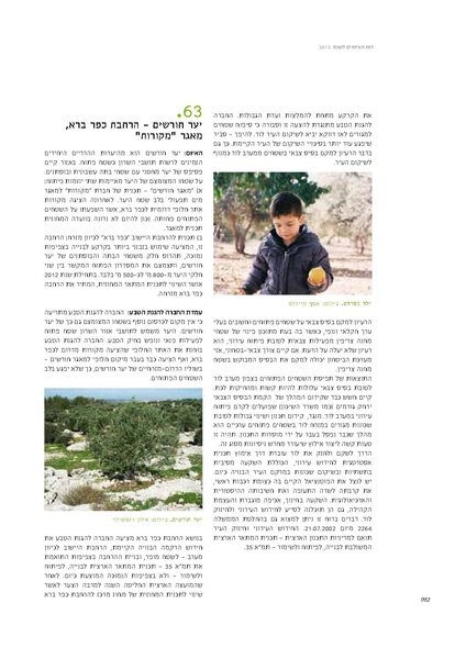 קובץ:Threats13.pdf