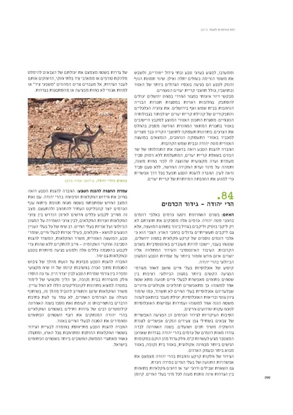 קובץ:Threats13.pdf