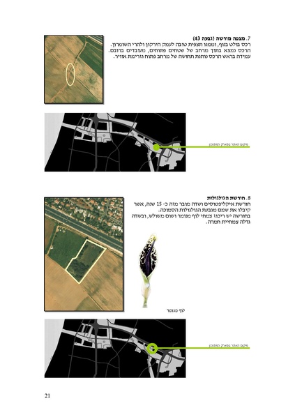 קובץ:Frommorashatil.pdf