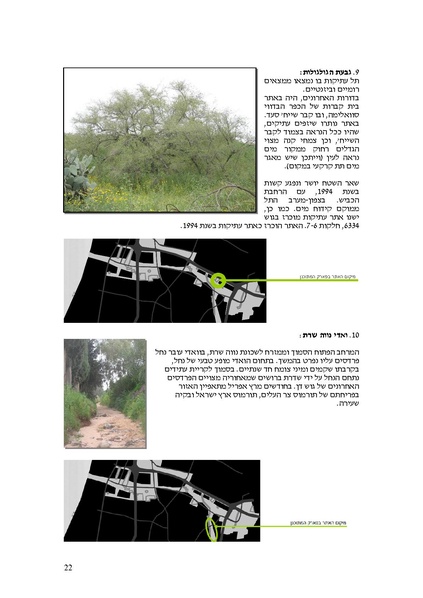 קובץ:Frommorashatil.pdf