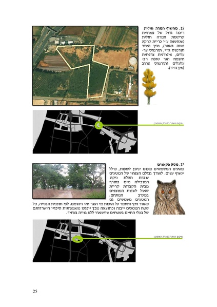 קובץ:Frommorashatil.pdf