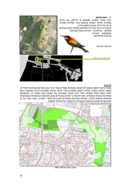 קובץ:Frommorashatil.pdf