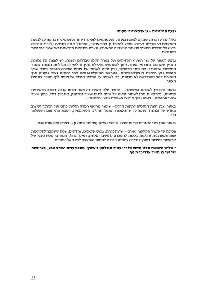 קובץ:Frommorashatil.pdf
