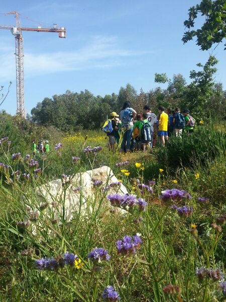 קובץ:1800px-טבע עירוני. צילום יעל הרטמן.jpg