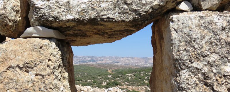 קובץ:Burgin dov cutted(2).jpg