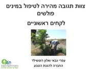 → לדף הקודם