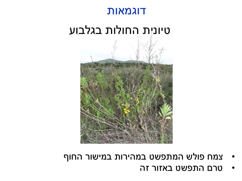 קובץ:Fastresponsetounvasiveplats.pdf