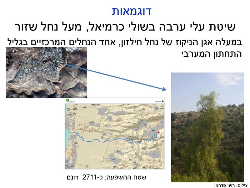 קובץ:Fastresponsetounvasiveplats.pdf