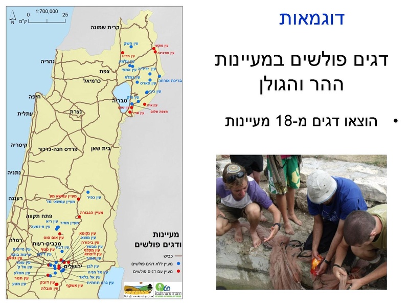 קובץ:Fastresponsetounvasiveplats.pdf