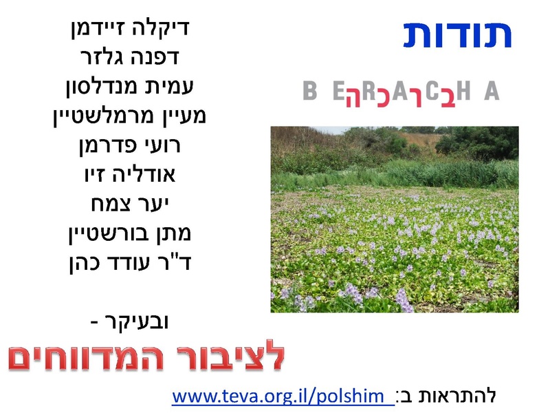 קובץ:Fastresponsetounvasiveplats.pdf