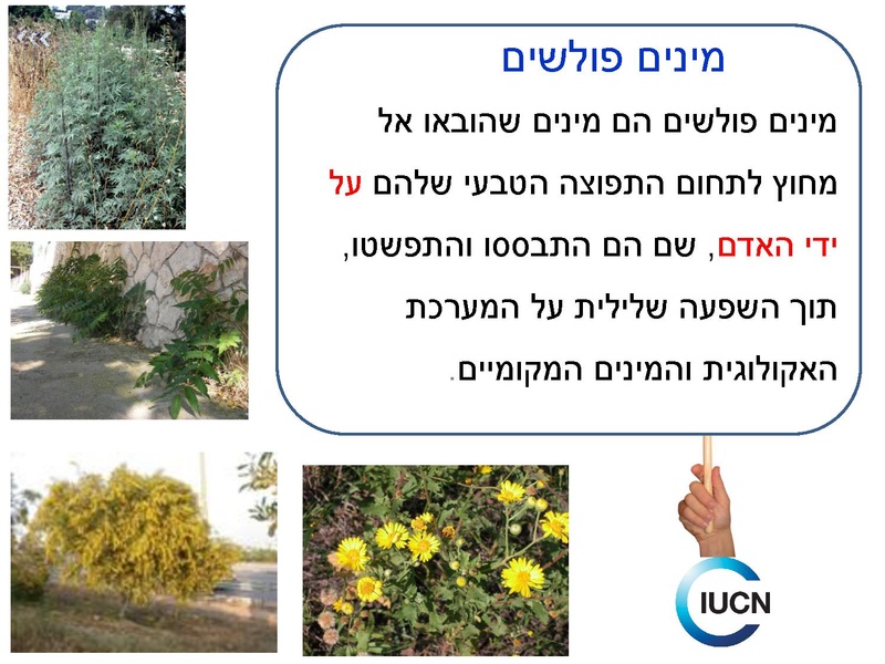 קובץ:Fastresponsetounvasiveplats.pdf