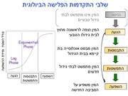 לדף הבא ←