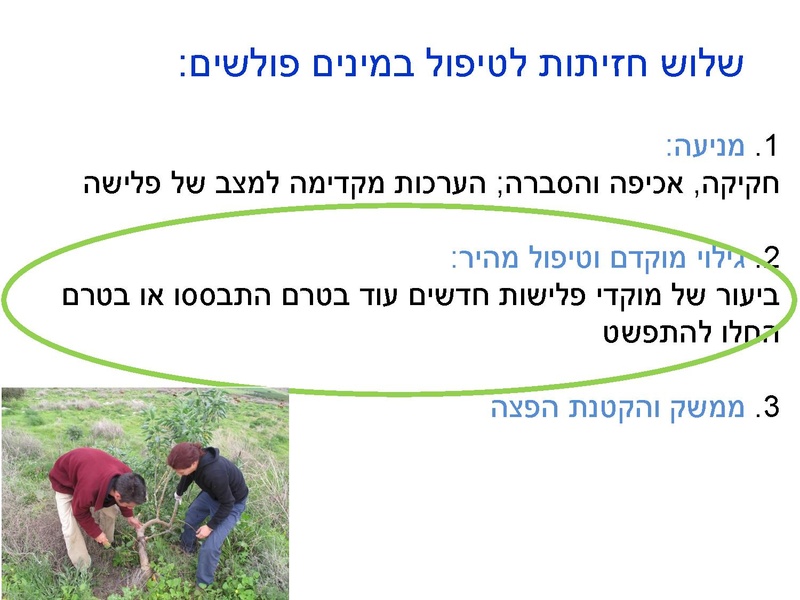 קובץ:Fastresponsetounvasiveplats.pdf