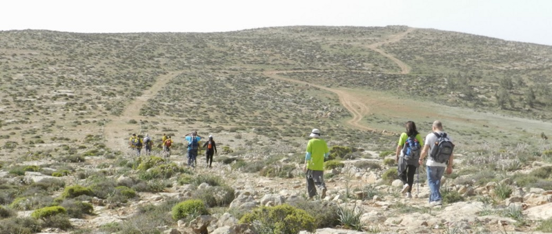 קובץ:Har amasa miryam ben dov.png