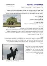 → לדף הקודם