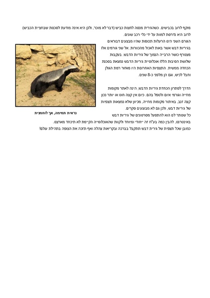 קובץ:Gir.pdf