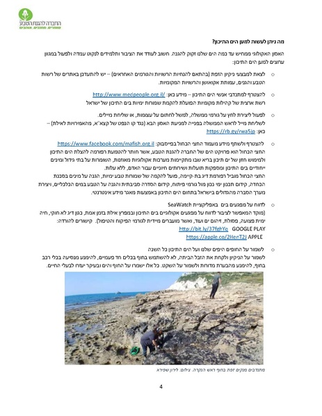 קובץ:Reka(1).pdf