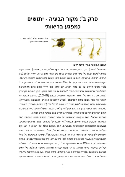 קובץ:Yatushim stasus.pdf