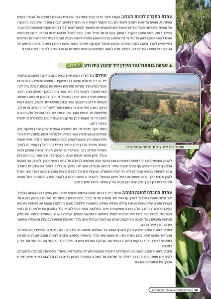 קובץ:Threats2010.pdf