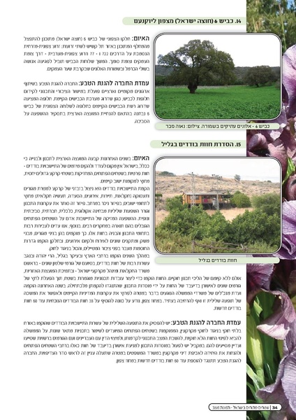 קובץ:Threats2010.pdf