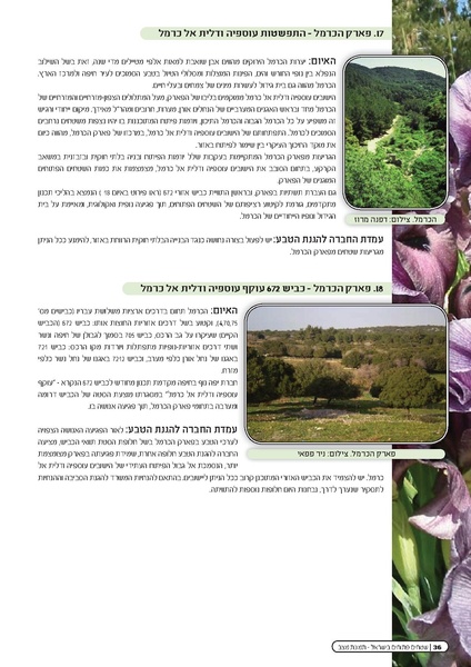 קובץ:Threats2010.pdf