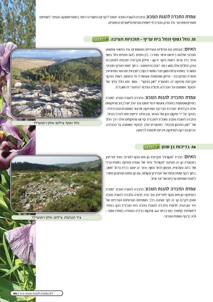 קובץ:Threats2010.pdf