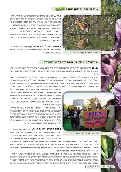 קובץ:Threats2010.pdf